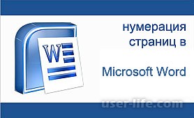     Microsoft Word
