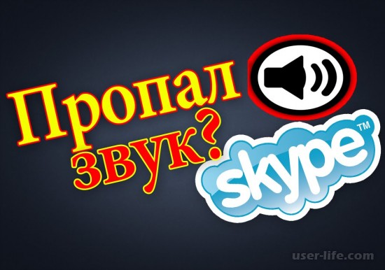        (Skype):     