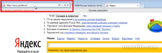    Internet Explorer (   )