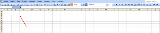      Excel (     )
