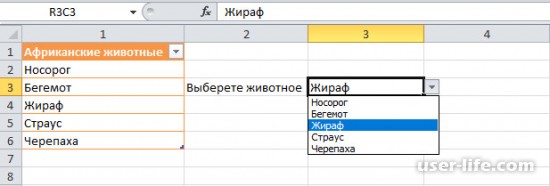    Excel  ()