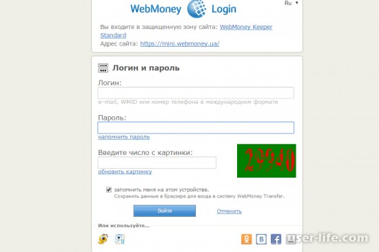     Webmoney ()