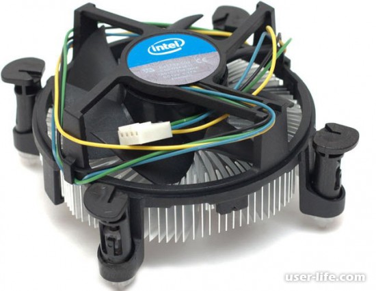       Intel Amd 