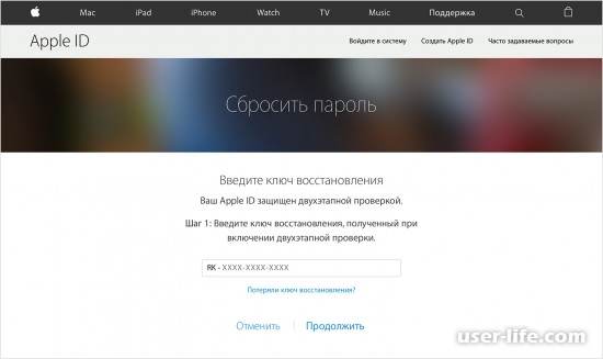      Apple ID (  Ipad  )