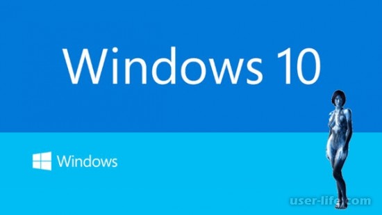    Windows 10 (   )