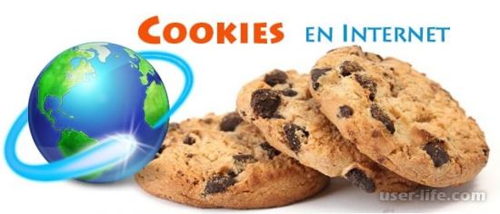    cookie    ( Google Chrome  FireFox Mozilla Safari)