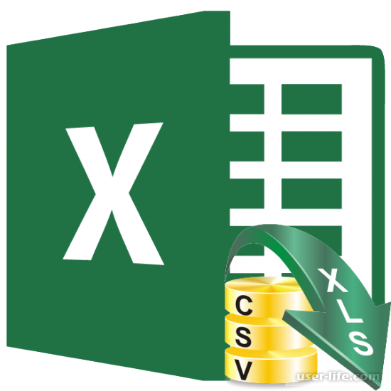   csv  Excel (   )