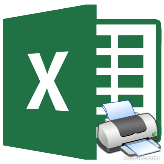      Excel (, , )