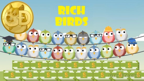   Rich Birds com:           cash point