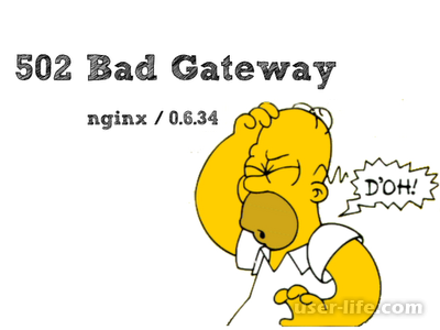 502 bad gateway nginx что это значит (как исправить ошибку перевод на русский)