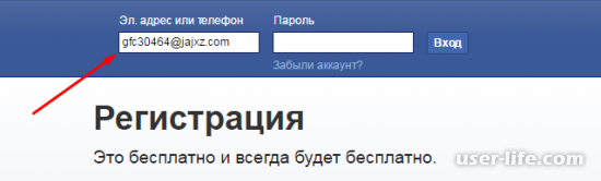       Facebook ()