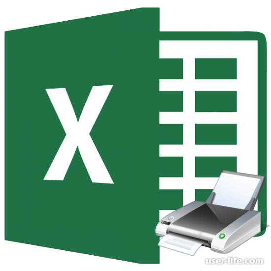   Excel ( )
