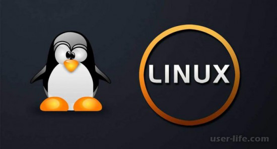 Какой Linux выбрать (версии дистрибутива системы)