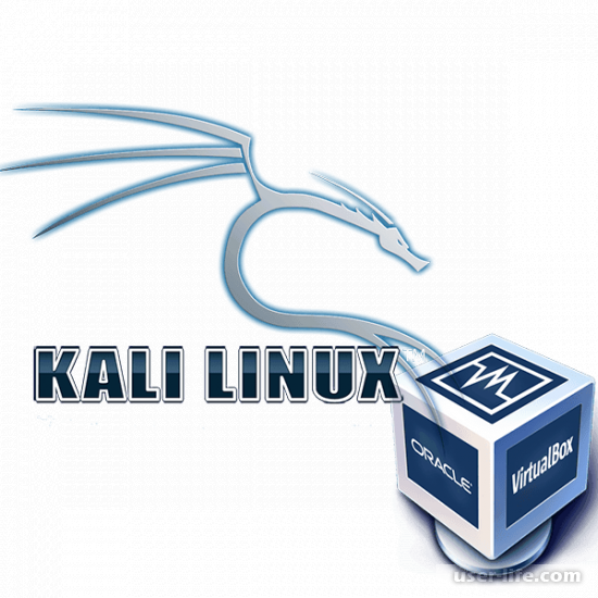 Как установить Kali Linux на VirtualBox скачать образ настройка