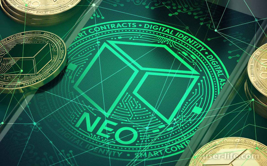 Neo криптовалюта курс к доллару новости сайт прогноз