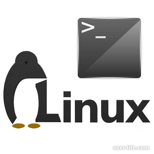 Основные команды Linux в 