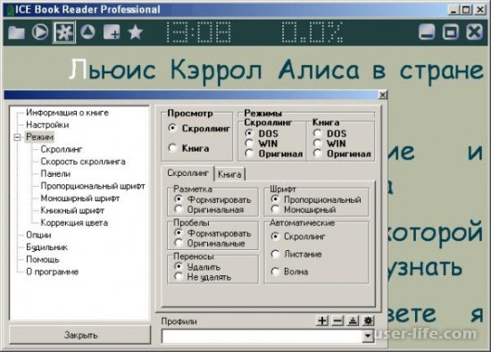 ICE Book Reader Professional russian    