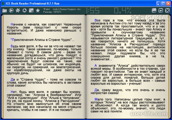 ICE Book Reader Professional russian    