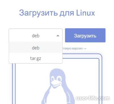 Discord Linux Ubuntu: как скачать установить Дискорд на Линукс