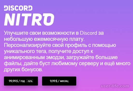 Как сделать подписку Discord Nitro бесплатно