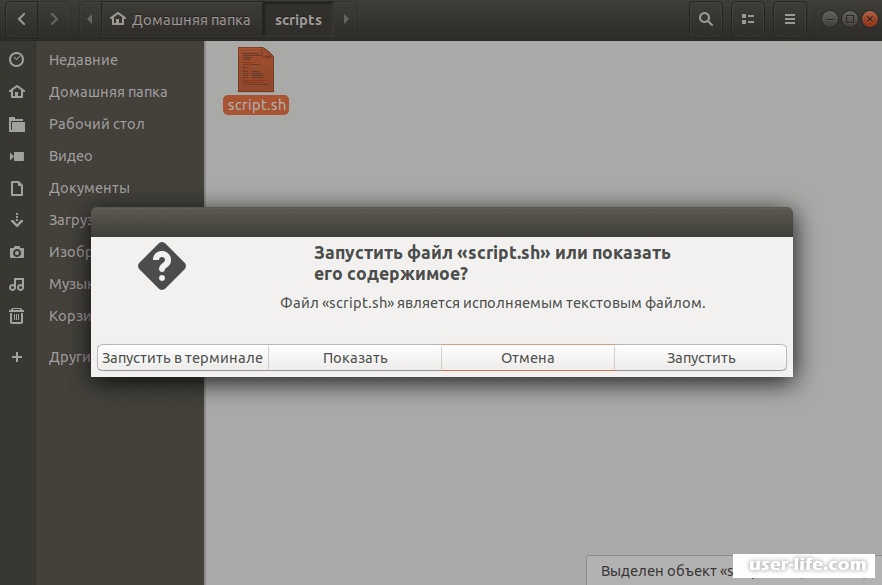 Script ubuntu. Скрипты линукс. Как запустить sh файл. Sh скрипт. Исполняемый файл в Linux.