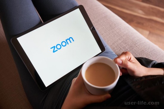    - Zoom  Discord