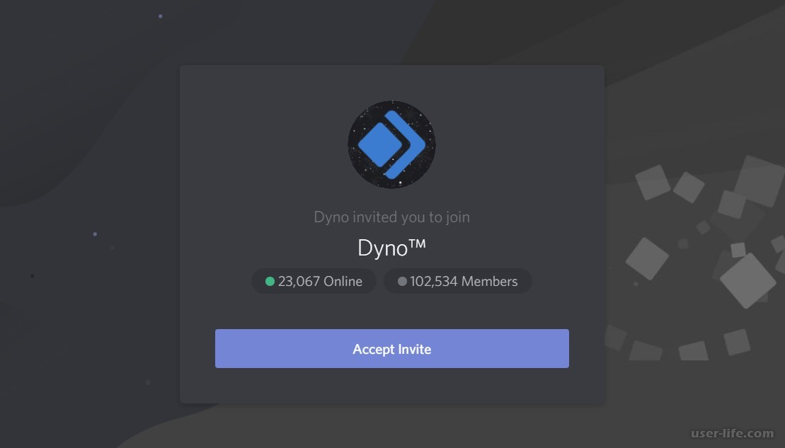 Дискорд сервера для трейдов. Dyno бот. Бот для дискорда. Команды Dyno bot. Dyno discord.