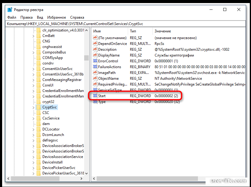 Служба криптографии windows 10 что это