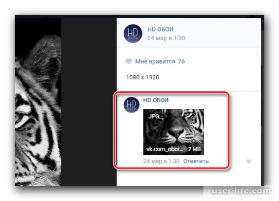 Как скачать фото с ВКонтакте на компьютер